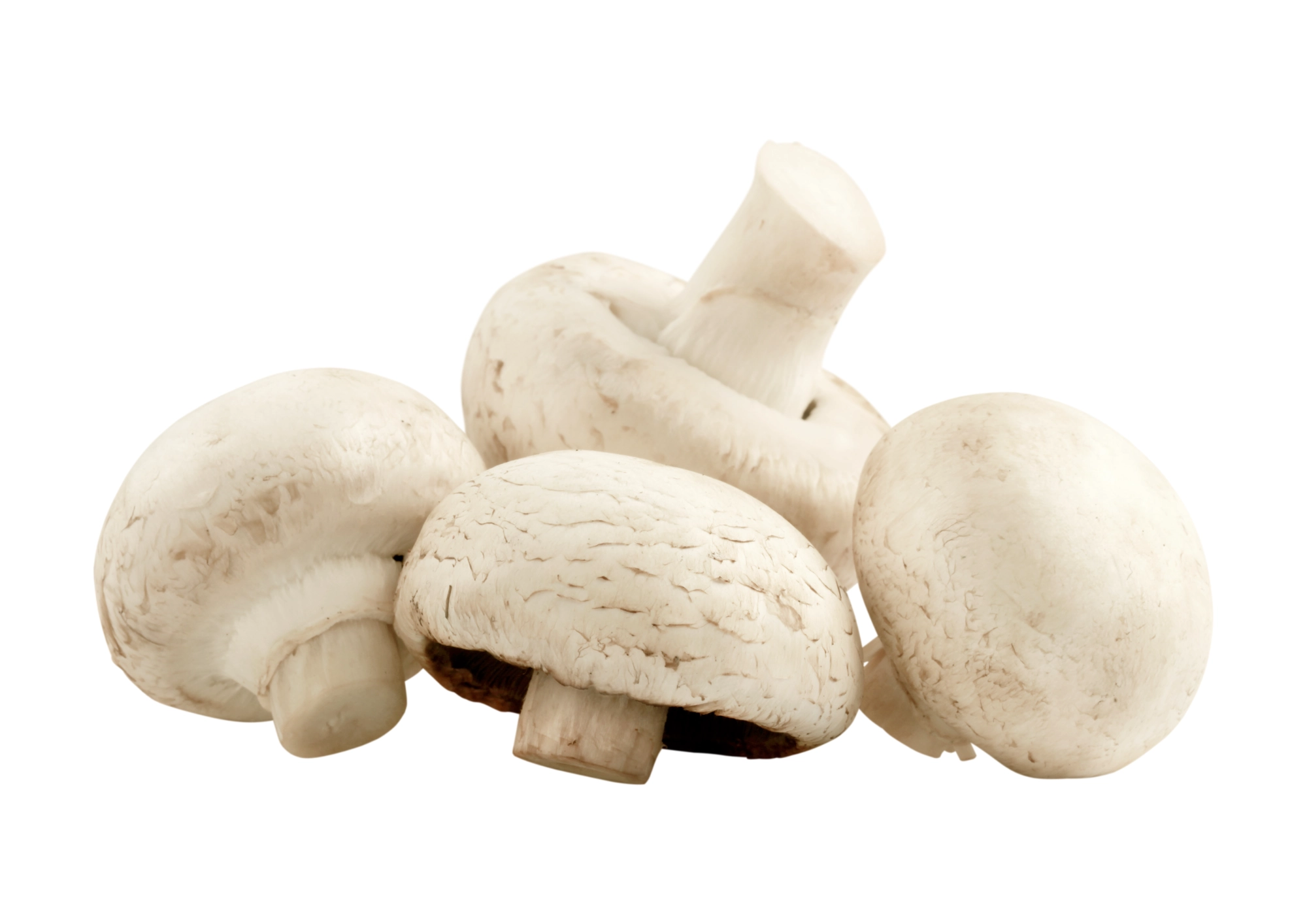 champignons de paris